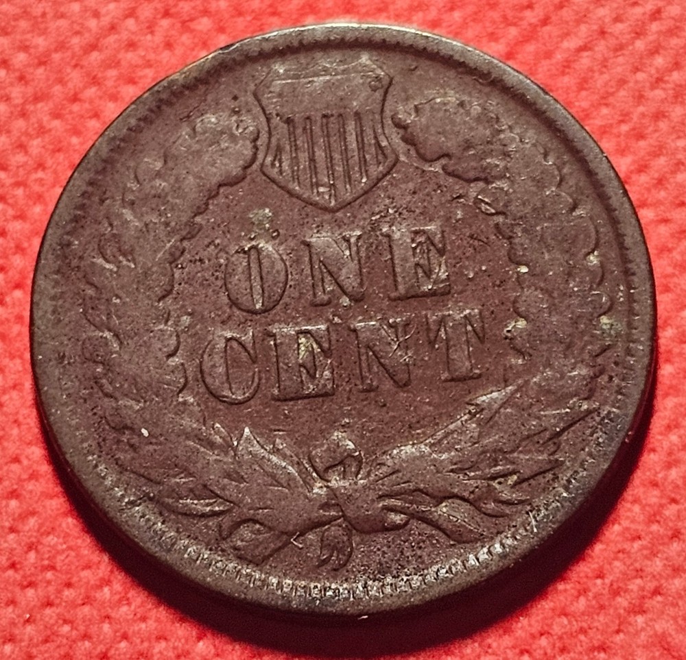 1898 Indian Head Cent (#D)