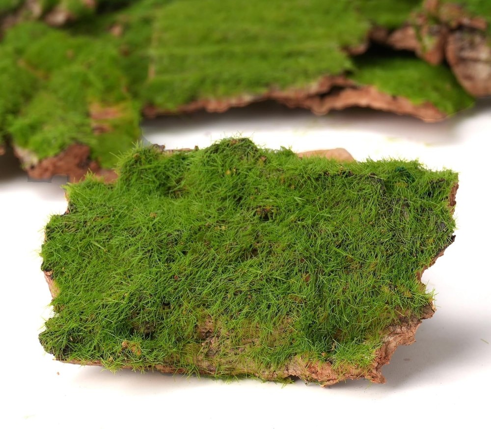 BYHER Assorted Artificial Moss Bark, Decorative Mossy Realistic Green - 100gr