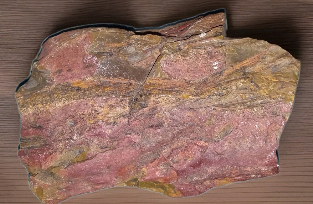 Petrified Wood w Bark Rough 342g