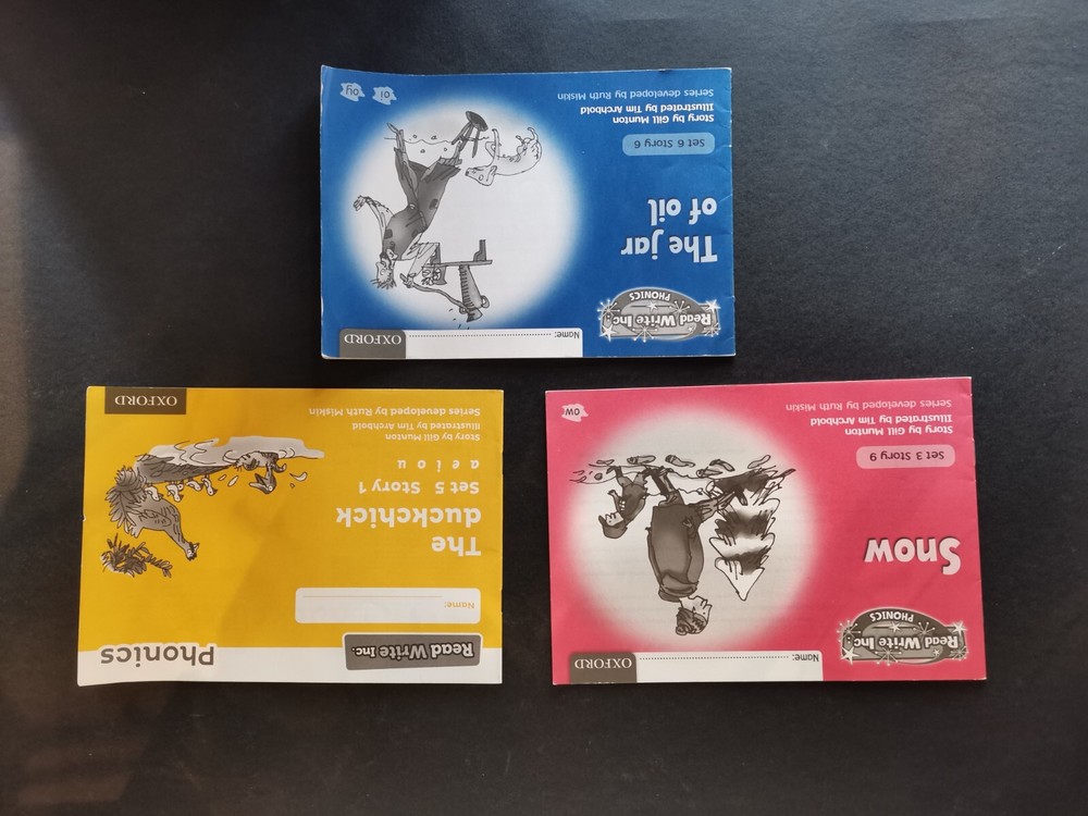 Read Write Inc Story Activity Books