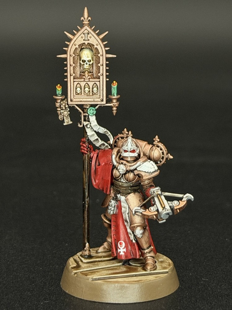 Warhammer Painted Celestian Insidiants Kill Team