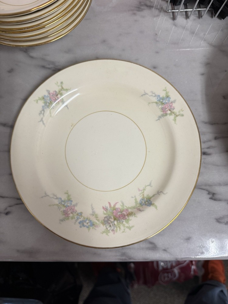 Nautilus Floral Gold Trim Dinner Set- eggshell