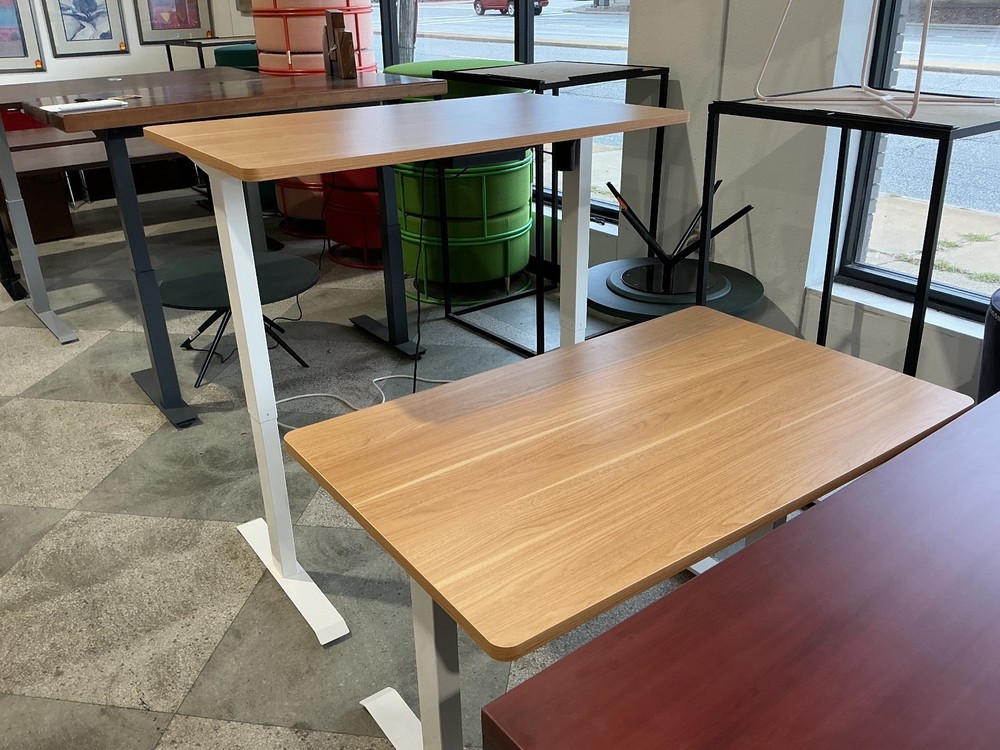 48”Wx30”D electric height Adjustable table by Flexispot Neutral top & White base