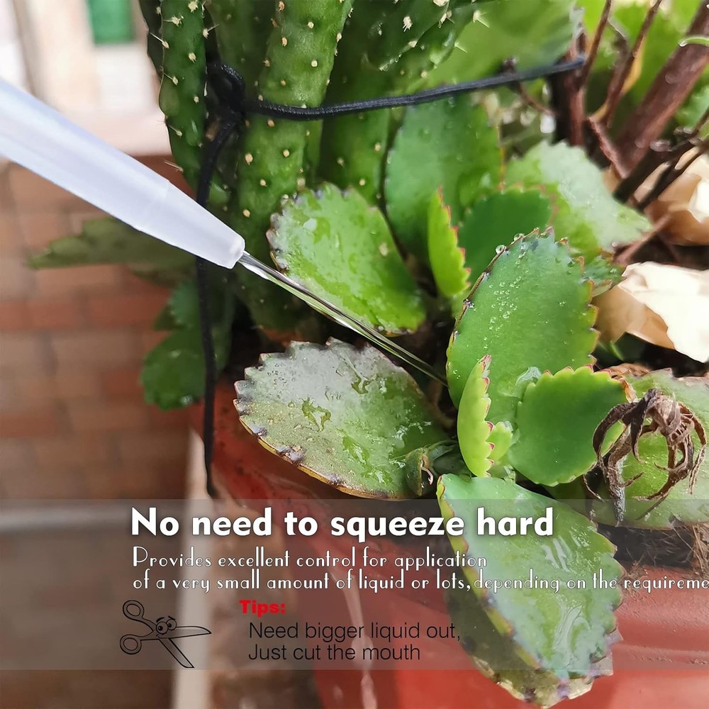 Versatile 16oz Squeeze Bottle - Perfect for Plant Waters & Lab Cleaning