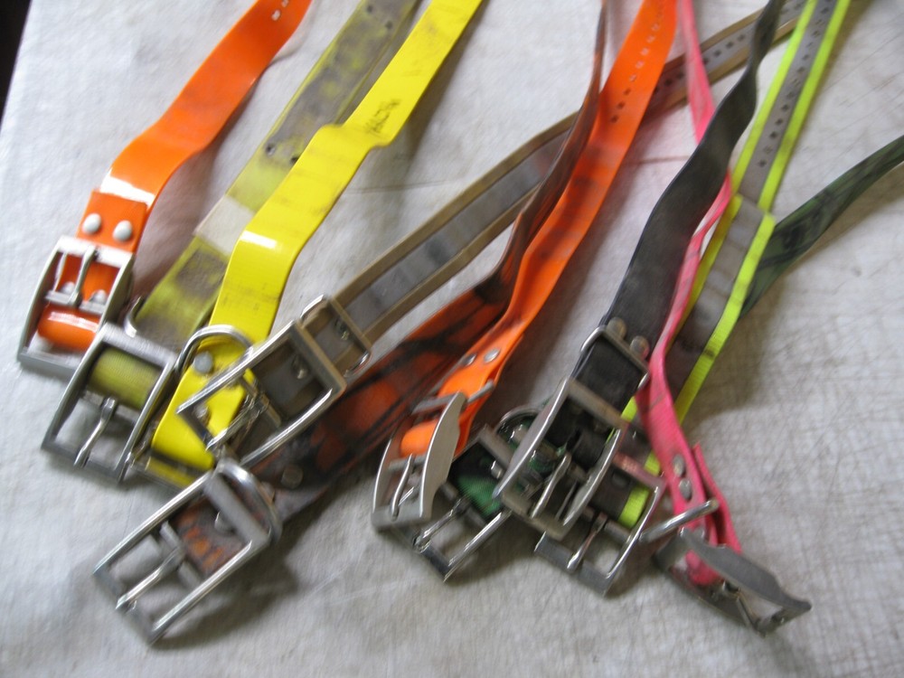 10 Dog collar straps Pulled from tracking collars 1" width (10 pcs.) -Used