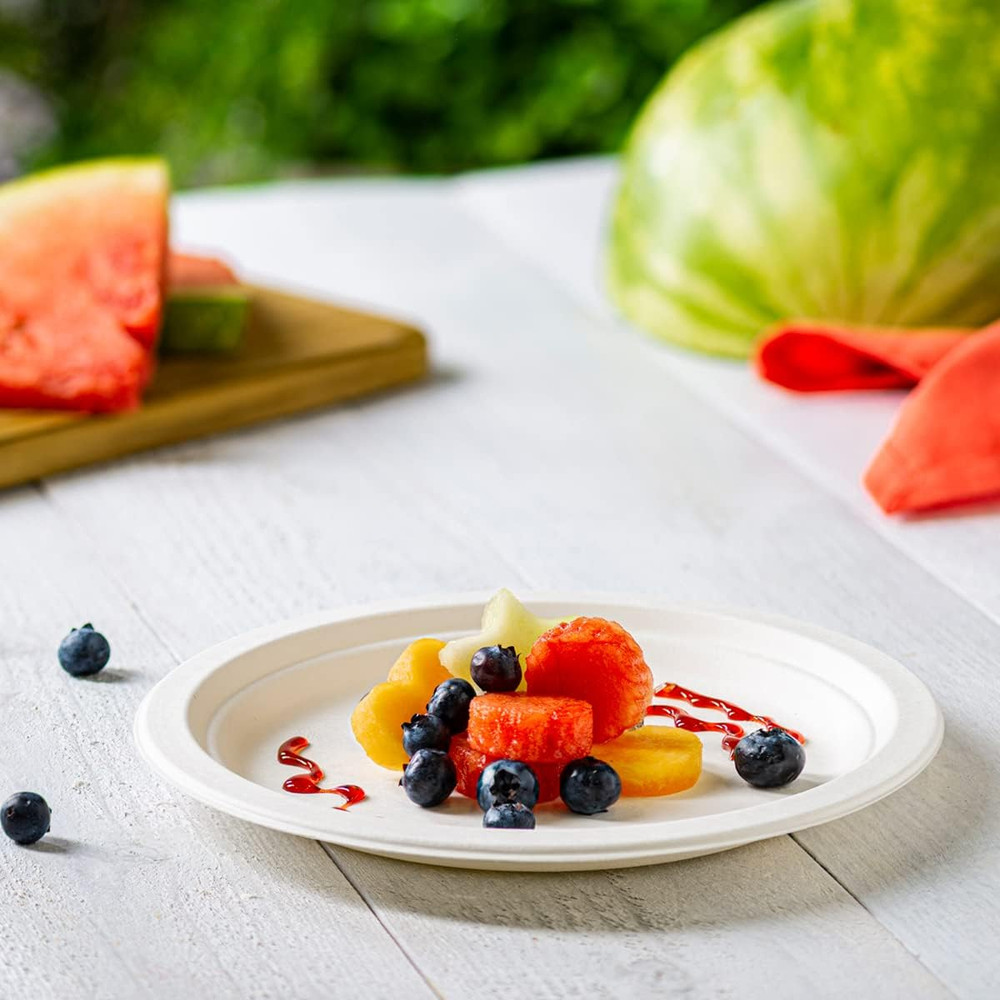 100% Compostable Sugarcane Paper Plates, Heavy Duty, Eco-Friendly, Biodegradable