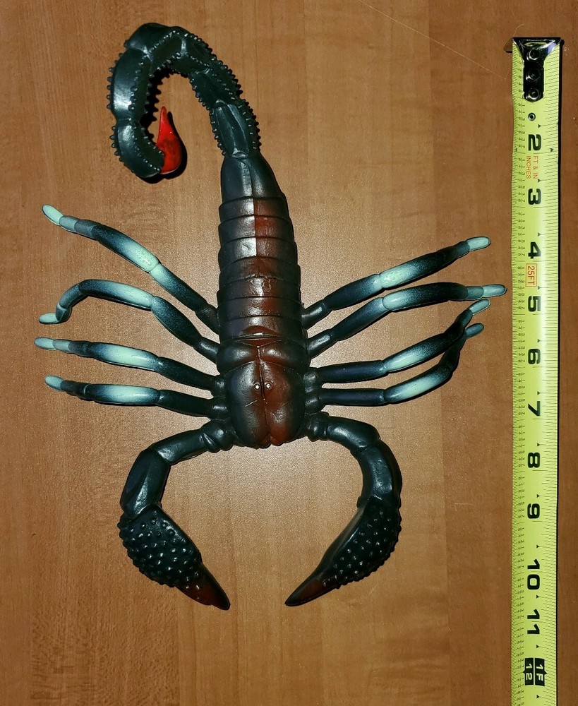 11" Scorpion 1997 Insect Park