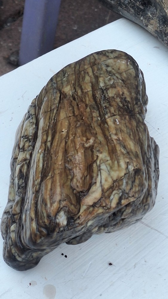 petrified wood log