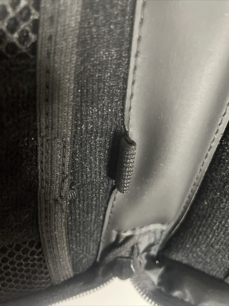 Nintendo DS Case With Free Poke Mon Keychains