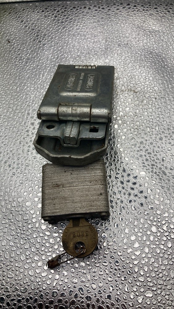 ABUS 110 Concealed Hinge Pin Hasp Germany - comes with lock