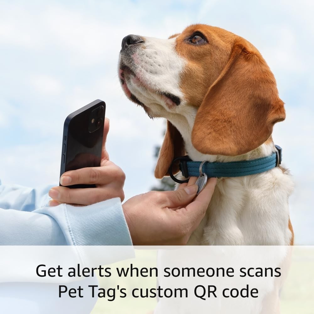 Ring Pet Tag | Easy-to-use tag with QR code | Real-time scan alerts 1