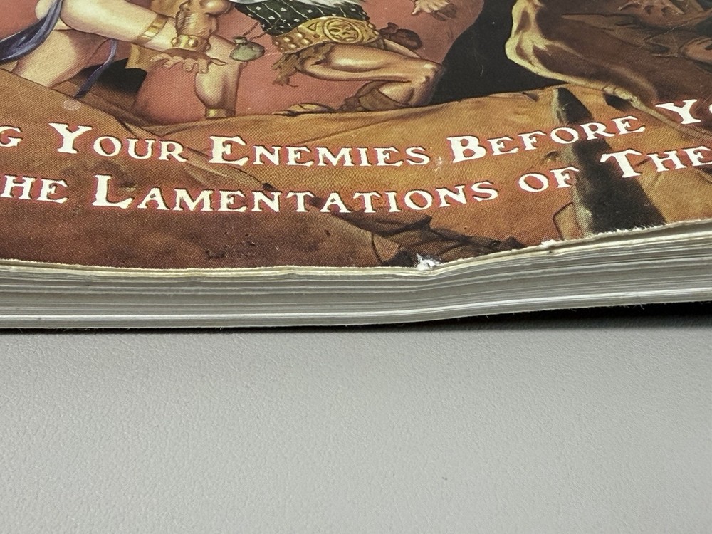 HackMaster The Combatant's Guide to Slaughtering Foes Sourcebook D&D First Print