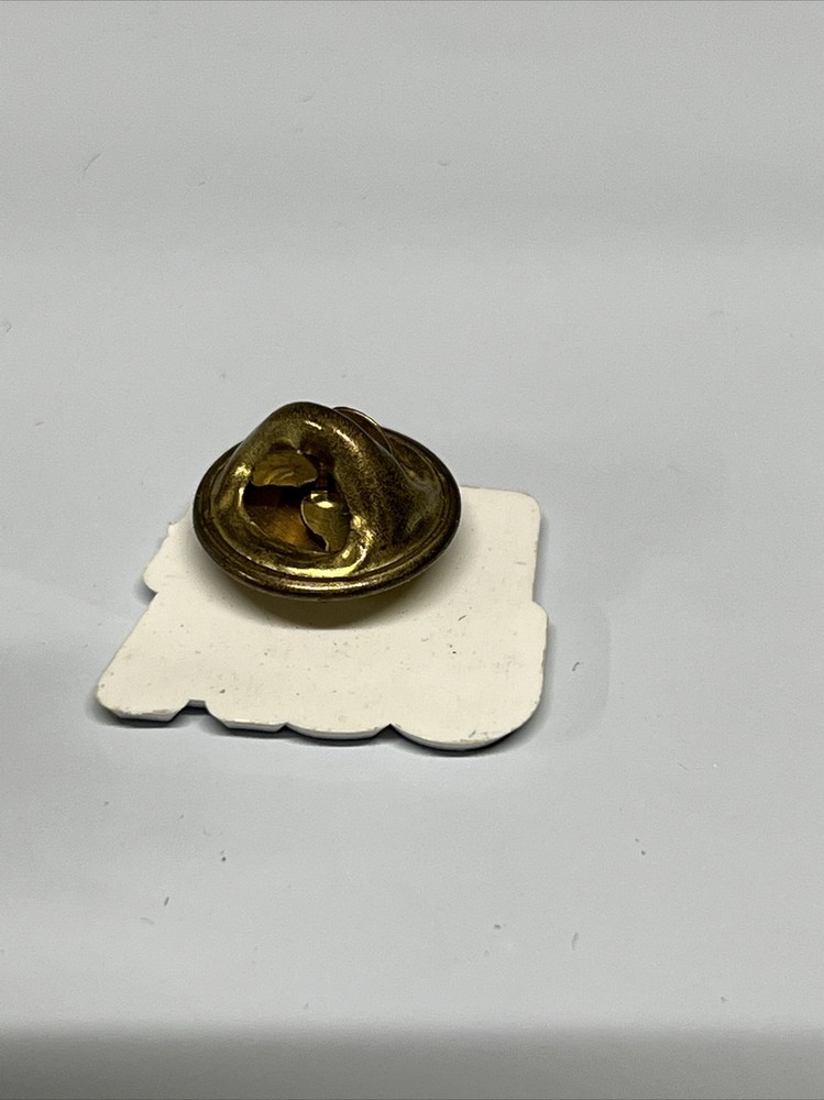 FLA USA Florida Plastic Pin