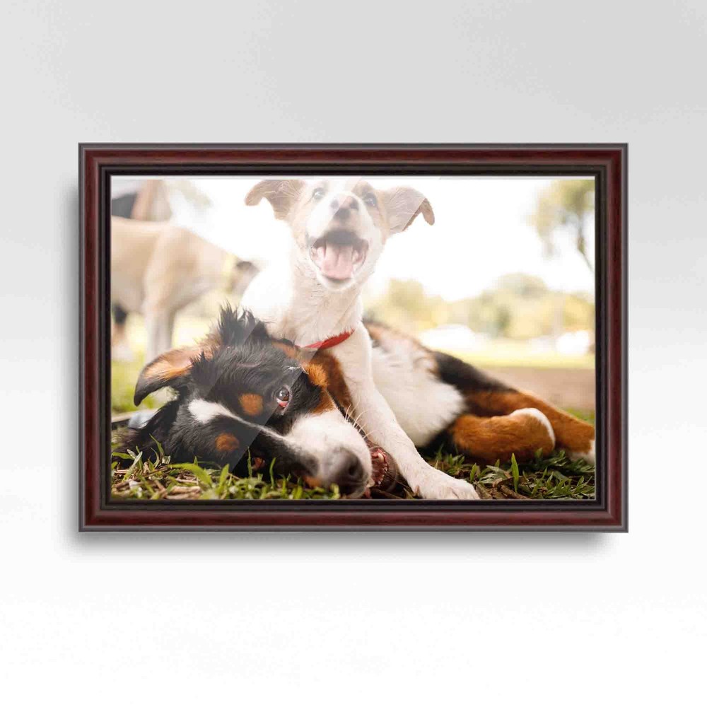 28x36 Frame Executive Brown Round Mahogany Finish Solid Wood Picture Frame | 1.2