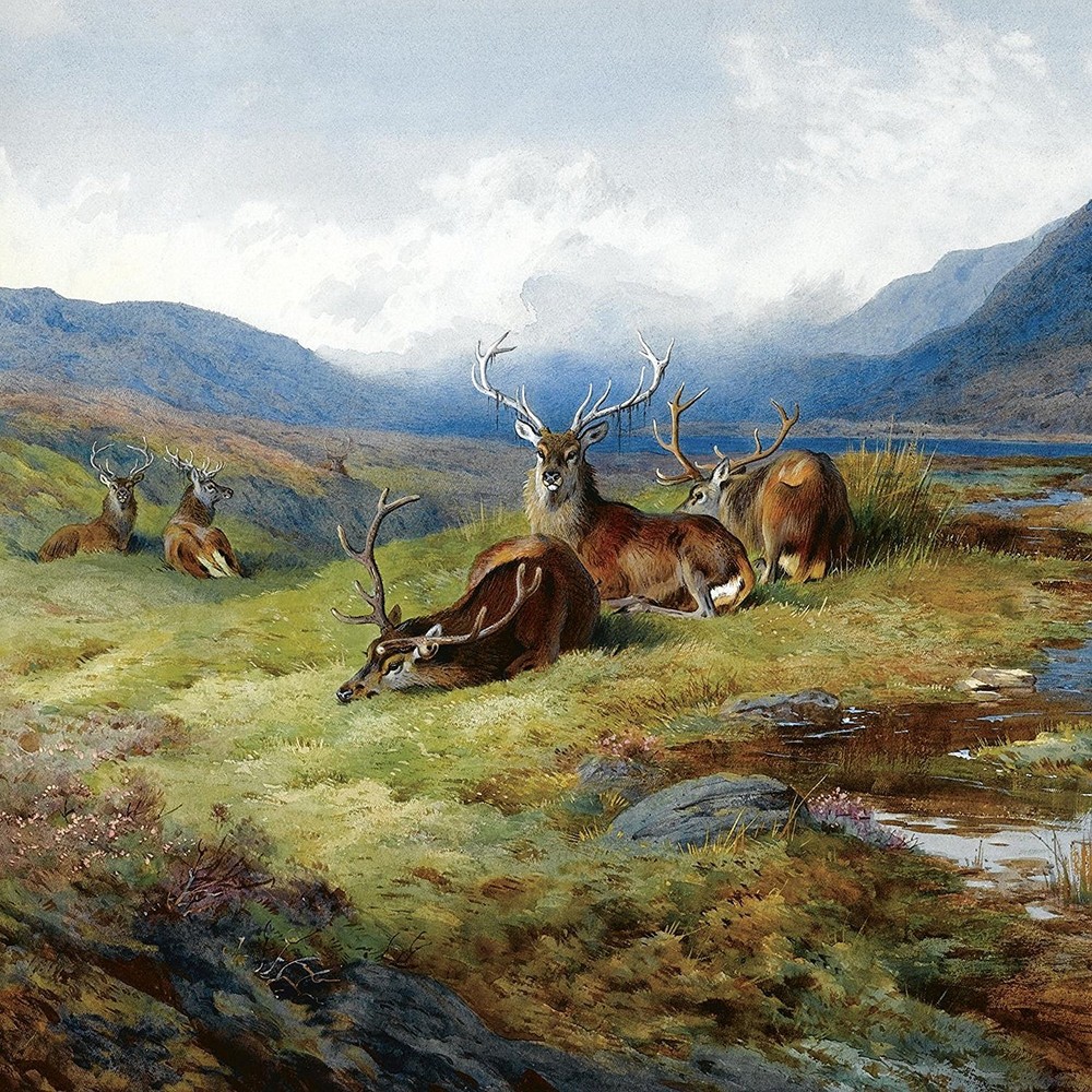 VINEYARD by A. Thorburn deers river Tile Mural Kitchen Backsplash Marble Ceramic