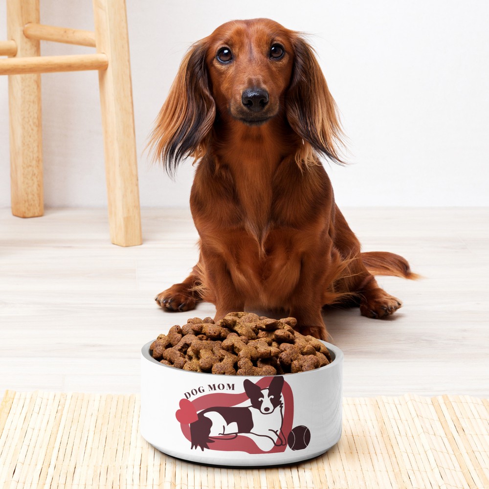 Pet bowl for water and food