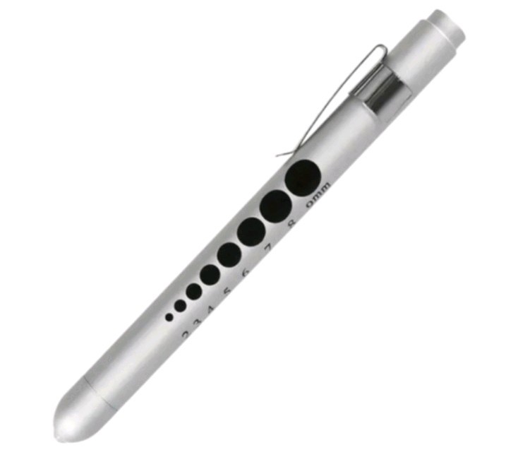 Silver Penlight with Pupil Gauge