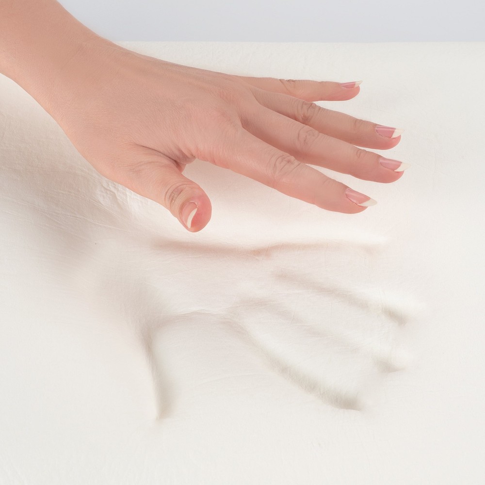 Memory Foam Queen Bed Pillows (2 Count)