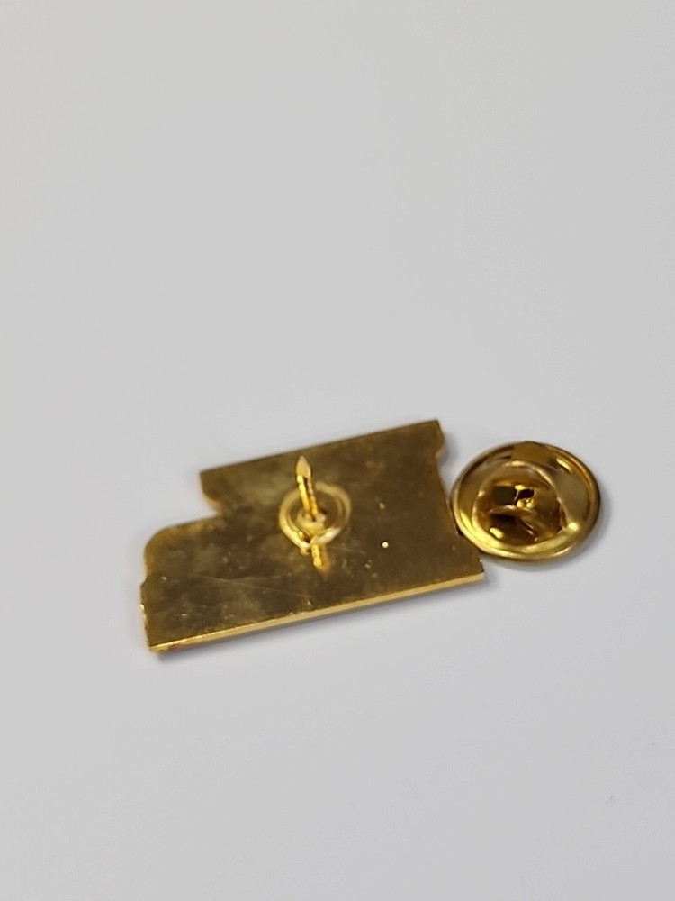 Illinois Souvenir Lapel Pin