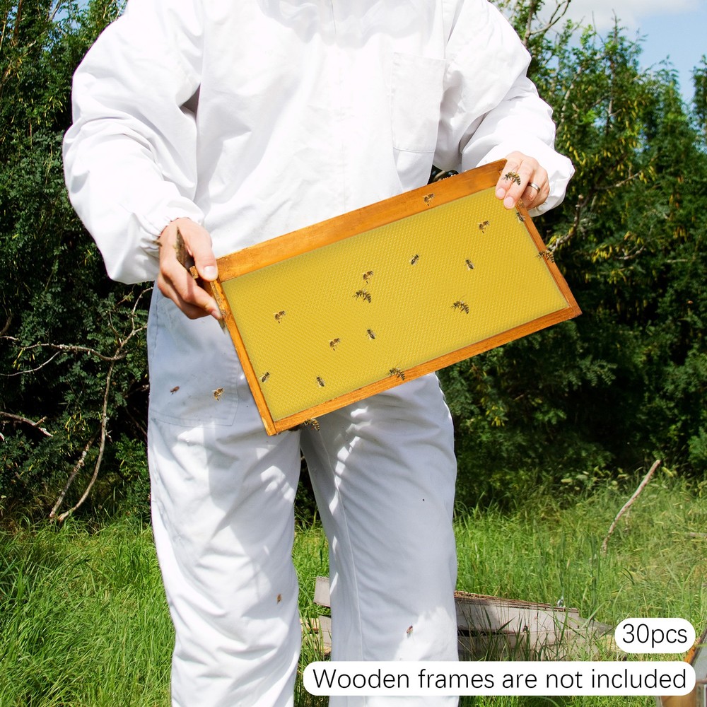 30 Pack Beeswax Sheets Beekeeping Foundation for Hive Honeycomb Building