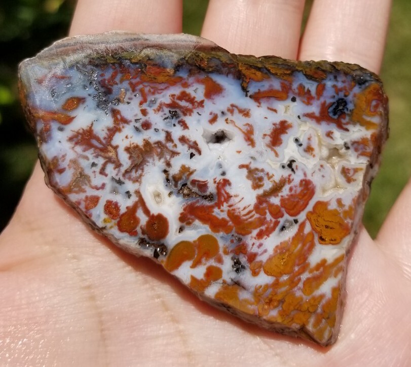 Wingate Pass - Plume Agate - Slab