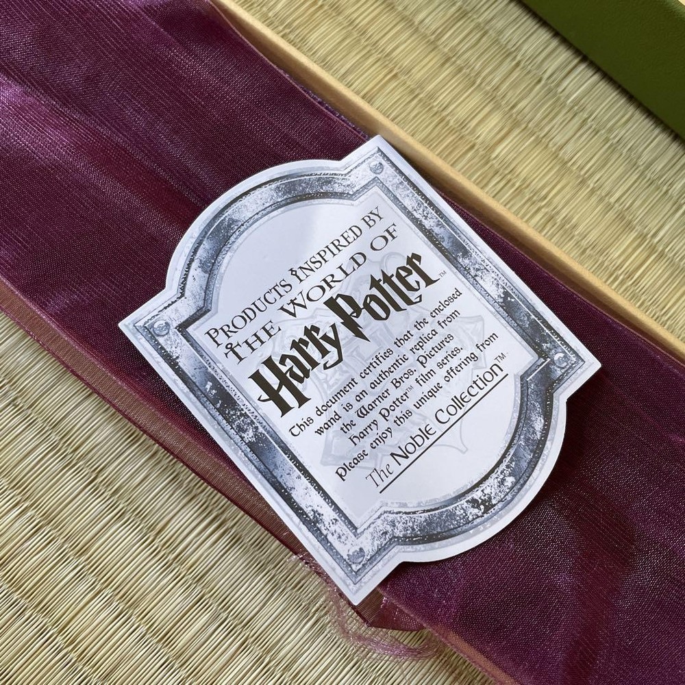 Harry Potter Ron's Broken Wand First Ones Collection