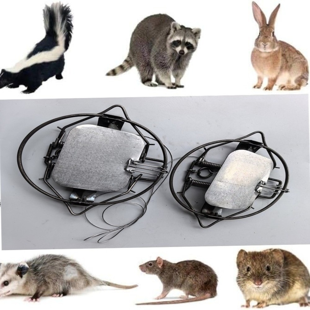 4Pc 5.12In / 13cm Coil Spring Nutria Rabbit Trap Mice Fox Gopher Mole Rat Mouse