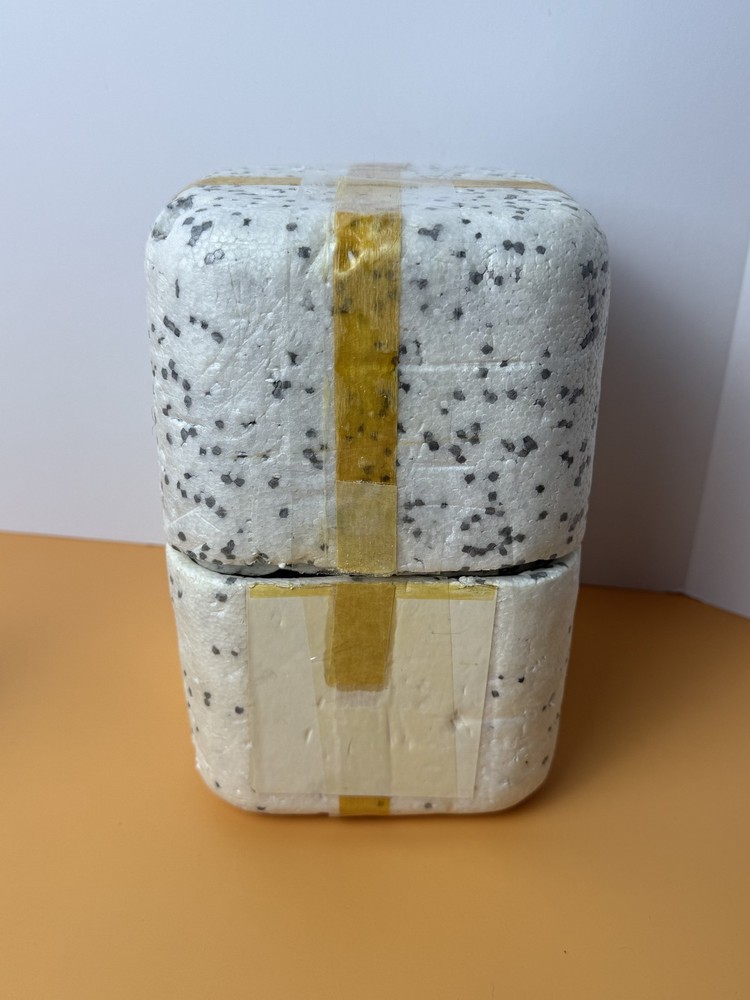 Vintage Bausch & Lomb Elementary School 100x Microsope