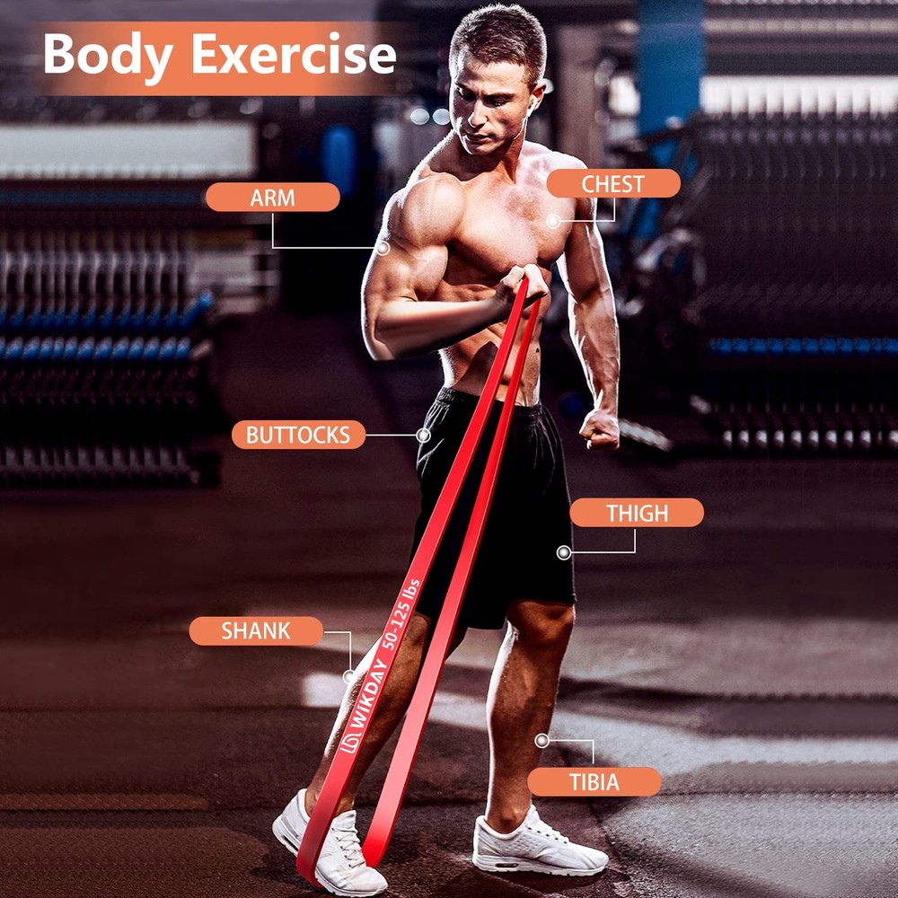 Resistance Bands for Working Out, Exercise Bands, Workout Bands, Pull Up Assi...