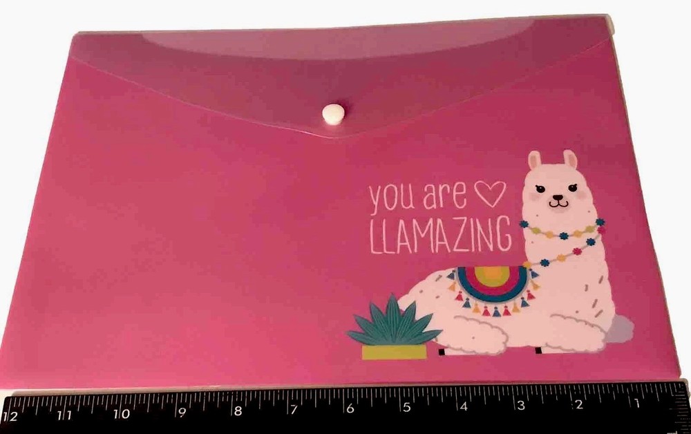 Llama Set Vinyl Pencil Pouch and Envelope, 6 Stackable Push Pencils & 4 Erasers