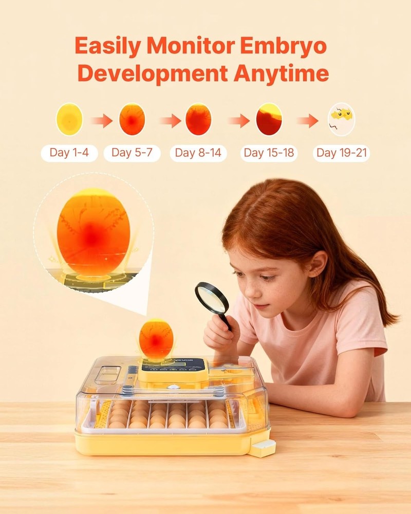Efficient 48 Egg Poultry Incubator with 360° Clear Window & Stable Design