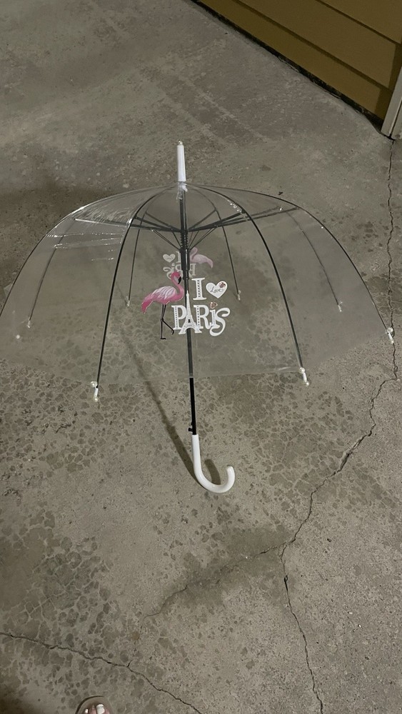 clear paris umbrella