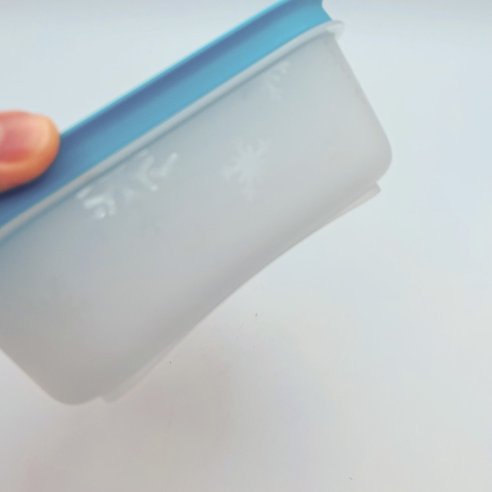 2 Plastic Tupperware Container for Freezer 450ml & 1.1 L Blue Covers