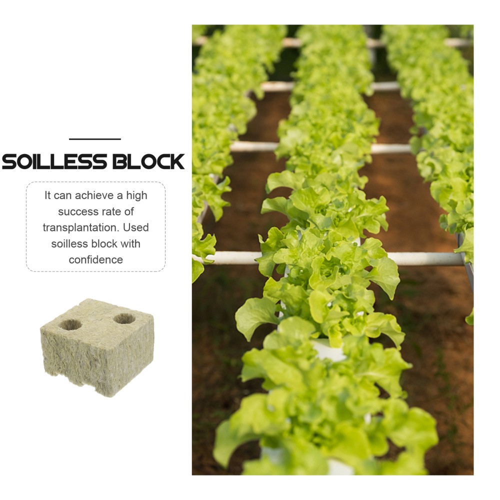 5 Pcs Vegetable Propagation Cubes Soilless Cultivation Blocks