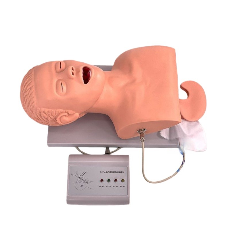 Intubation Manikin Study Teaching Model W/Electronic Airway Management Trainer