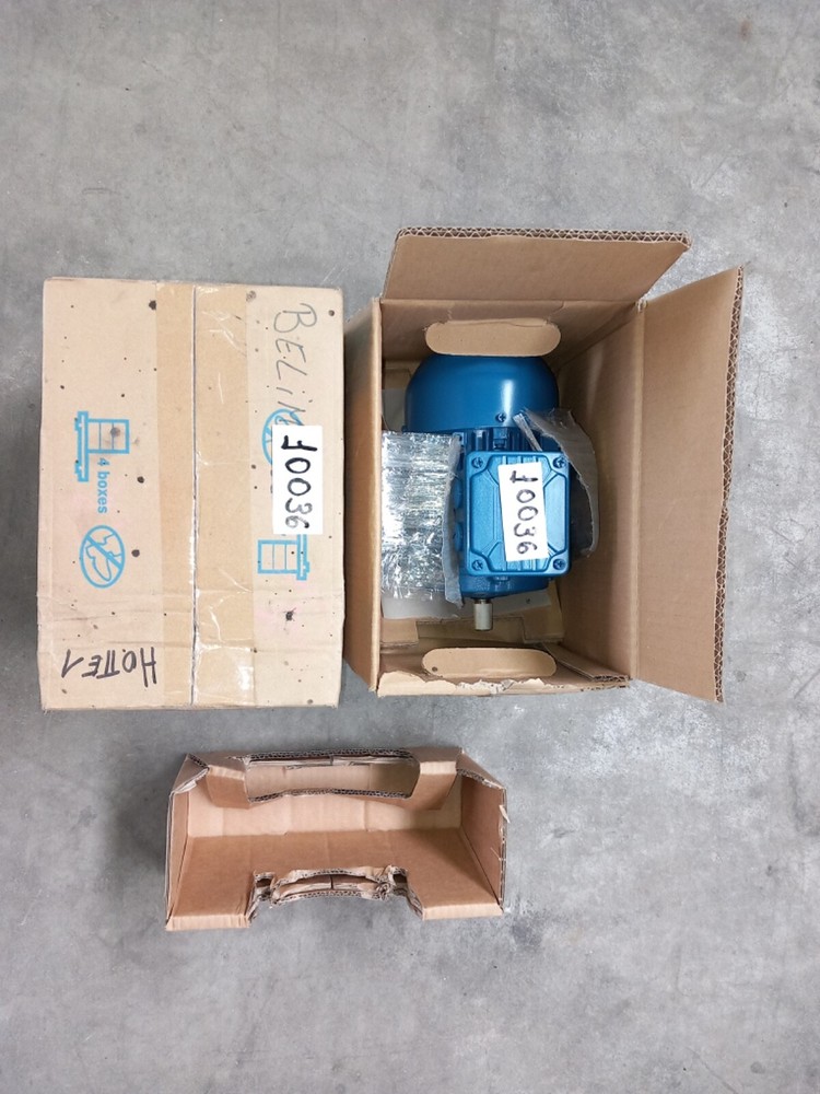 WEG Motor 12797527