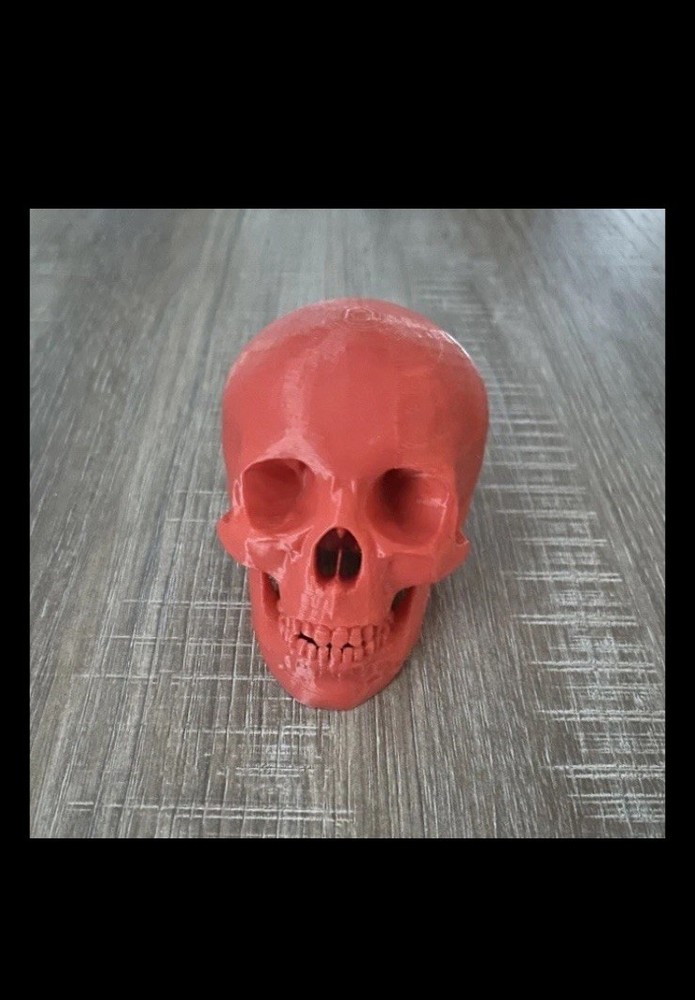 3D Printed Red Human Skull Halloween Skull