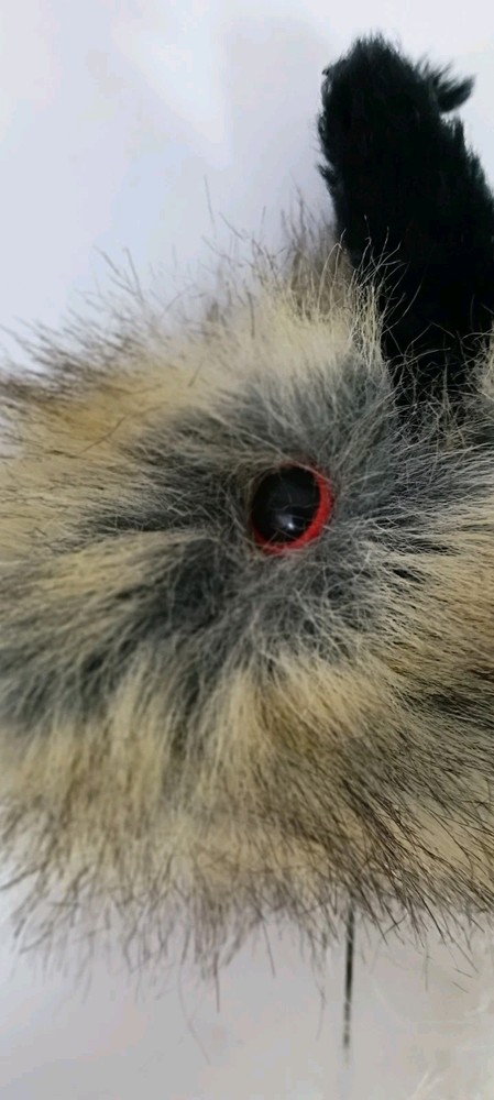 FOXPRO Black Jack Decoy