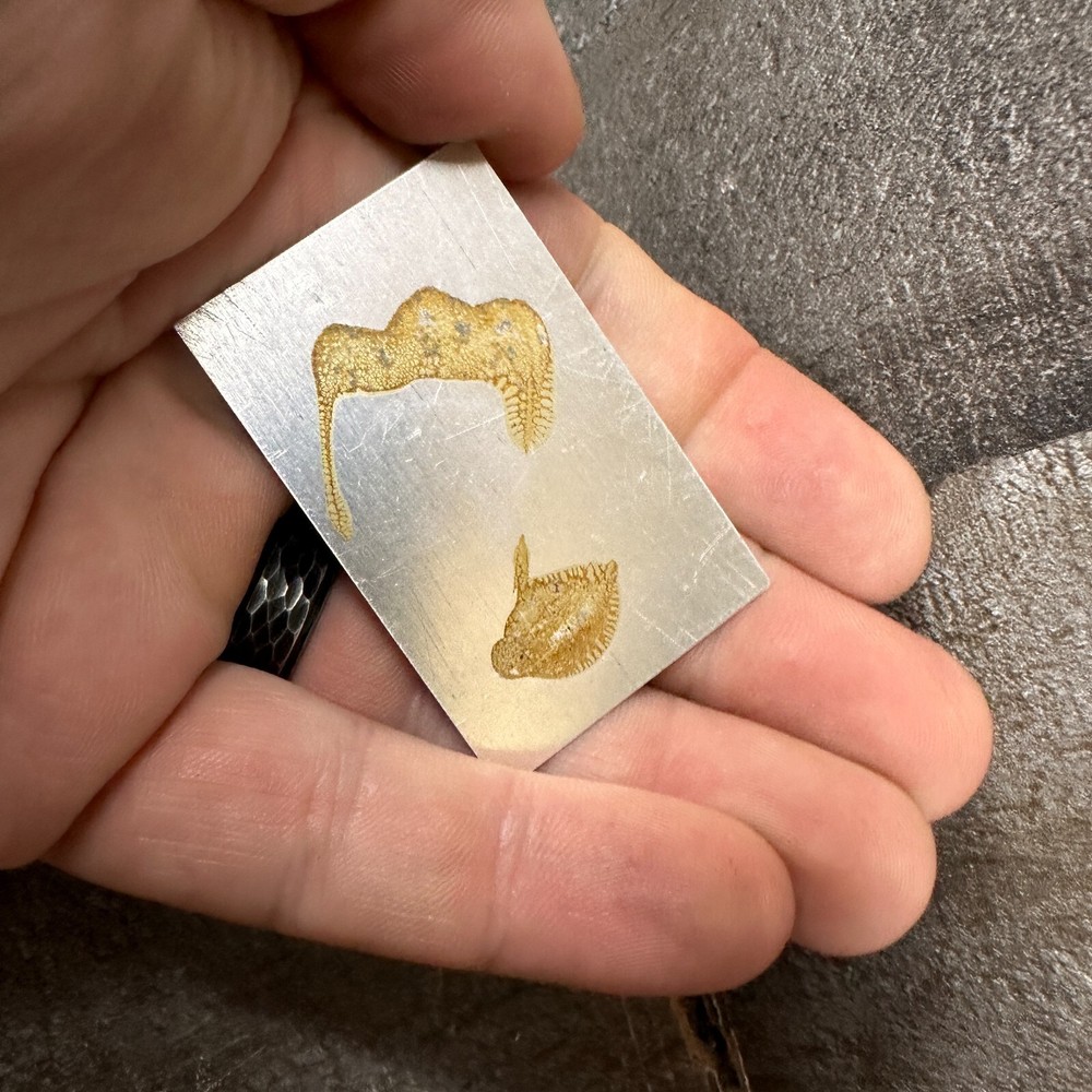 Commodore C2N Datasette Cassette -Serial # Plate Only