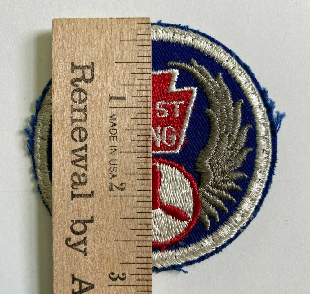 31st Wing Patch