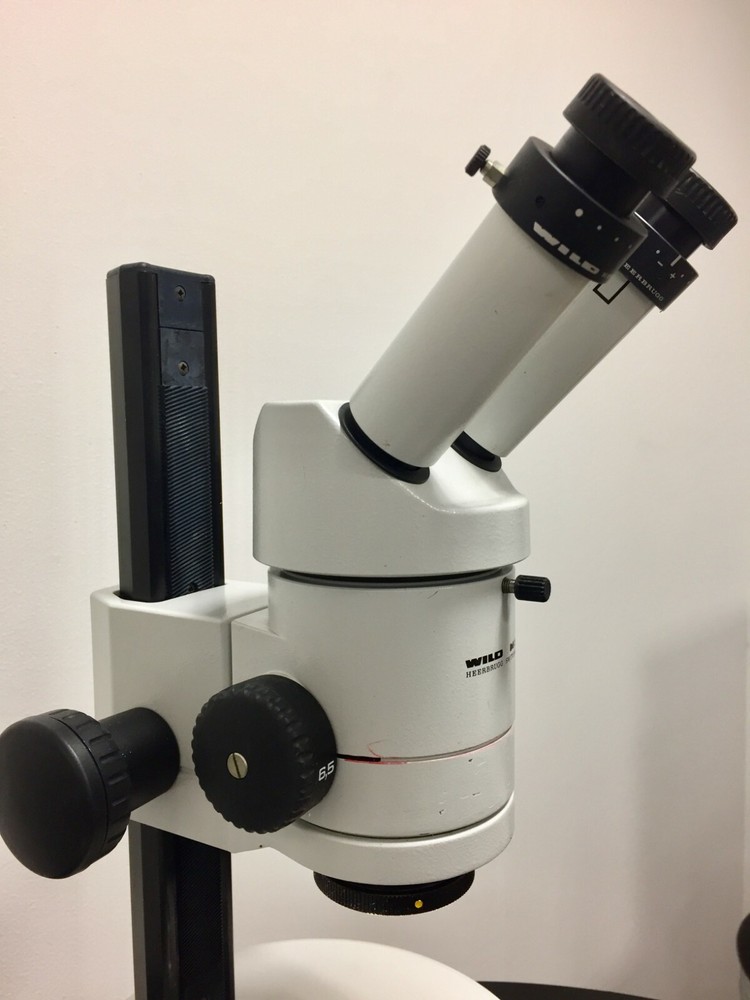 Heerbrugg WILD M3Z Stereo Zoom Microscope w/ Light Source