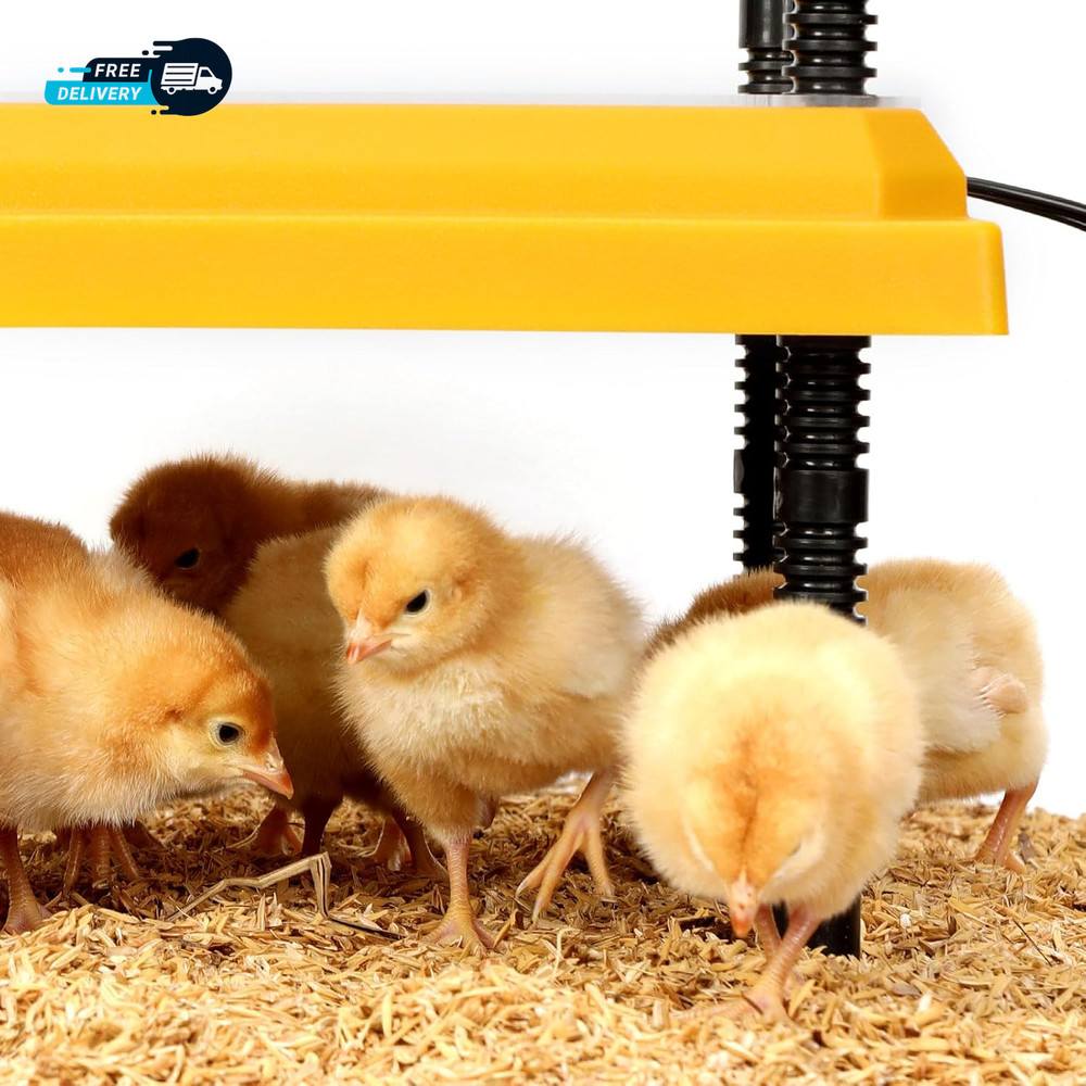 Brooder Heating Plate for Chicks Adjustable: with Bonus 12X12 Warmer