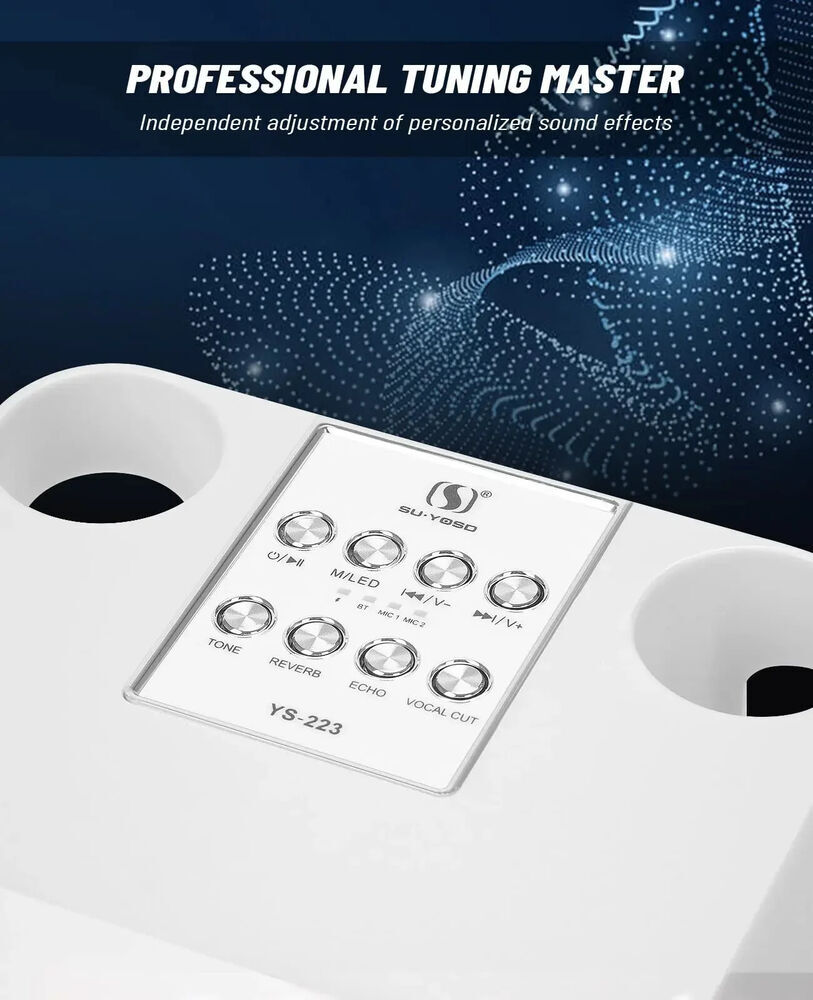 Bluetooth Speaker System Karaoke Machine with 2 Wireless Microphone