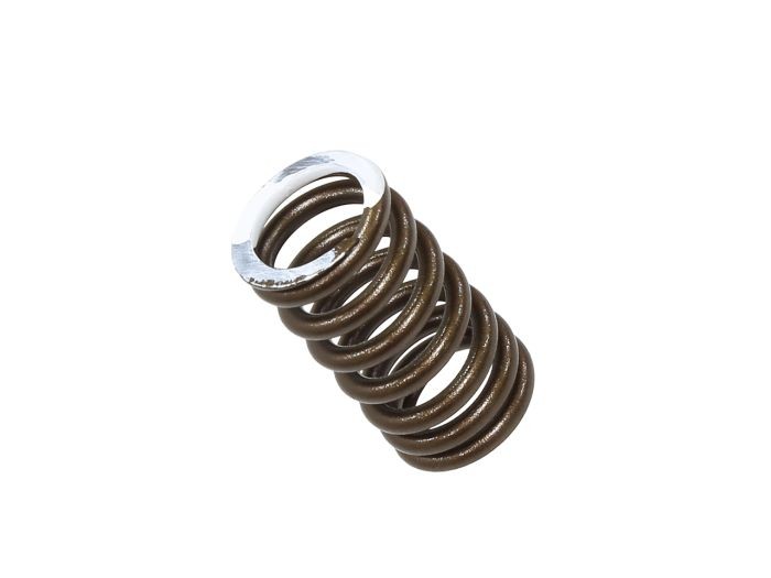 EXHAUST VALVE For SPRING