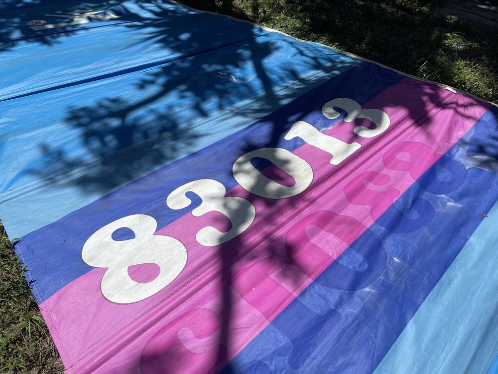 HOBIE 16 MAIN SAIL Only