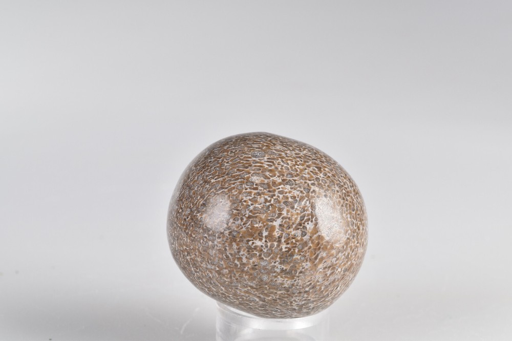 Dinosaur Bone Sphere from Morocco 4.3 cm # 21232