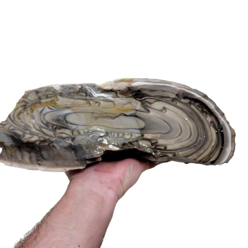 RARE Polish Flint Orbicular Rough Chunk!