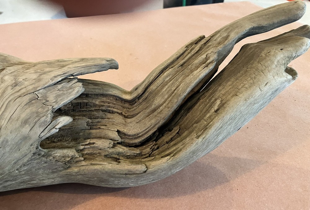 Beautiful Driftwood