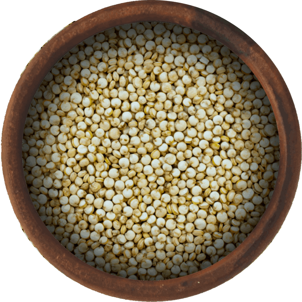 Bulk Quinoa Seeds 10 lb Wholesale Box