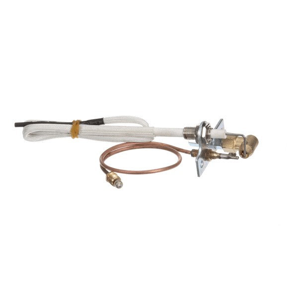 Globe U00677 Pilot Assembly